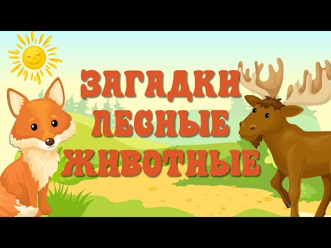 Видео: Загадки ЛЕСНЫЕ ЖИВОТНЫЕ. Загадки для детей с ответами