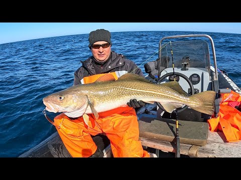 Видео: БАРЕНЦЕВО МОРЕ РАДУЕТ ВЕСЕННИМИ УЛОВАМИ / SEA FISHING