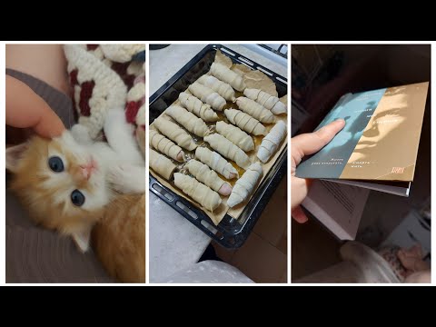 Видео: VLOG 526: ВЫЗДОРОВЕЛИ