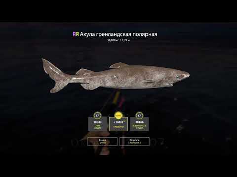 Видео: Русская Рыбалка 4! НОРВЕЖСКОЕ МОРЕ!! Опах! Трофейная Сайда!! 170 Яма! Russian Fishing 4