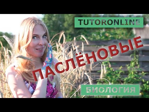 Видео: Биология | Паслёновые