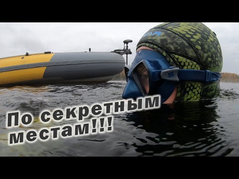 Видео: ПОДВОДНАЯ ОХОТА В МОИХ ЛУЧШИХ МЕСТАХ!!!