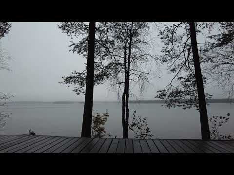 Видео: Костомукша, Республика Карелия