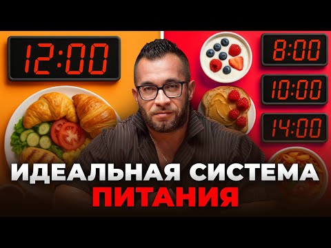 Видео: Хватит забивать голову диетами! Всё давно ПРИДУМАНО! Сколько раз в день ЕСТЬ и в какое время!