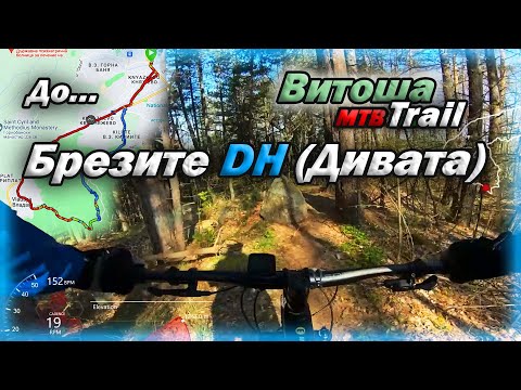 Видео: Княжево - Брезите DH (Дивата) - Владая | Brezite DH MTB Trail 🚵