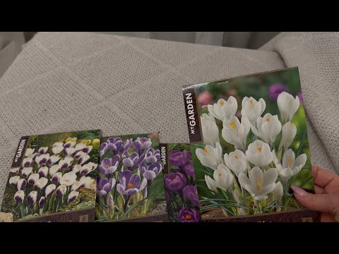 Видео: Влог. Лемана Про. Купили окно. Новинки. Мои покупки 🛍️. Сентябрь 2025