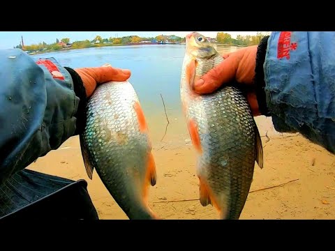 Видео: Рыбалка с Ночёвкой на Реке Отличный Результат