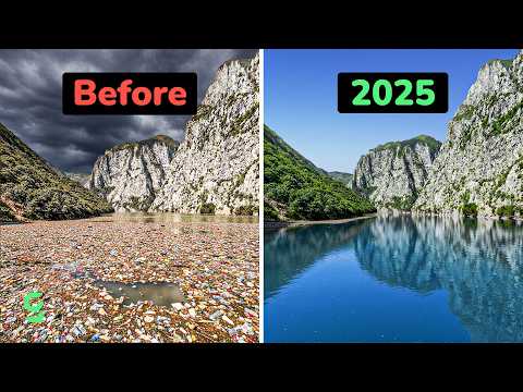 Видео: Ваша ежемесячная доза хороших новостей | Октябрь