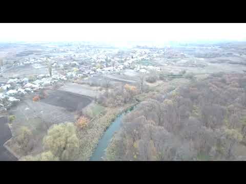 Видео: Старобельск Тушистый лес