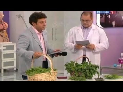 Видео: Щавель польза и вред. Правильное выращивание и приготовление
