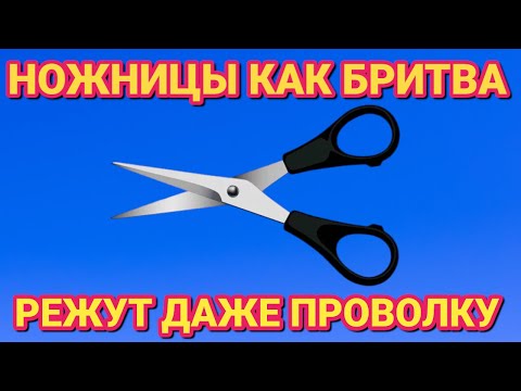 Видео: Как ПРОСТО заточить любые ножницы дома , до бритвенной остроты за 1 МИНУТУ