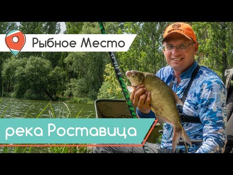 Видео: Рыбное место. Поплавок или фидер? Рыбалка не по плану.