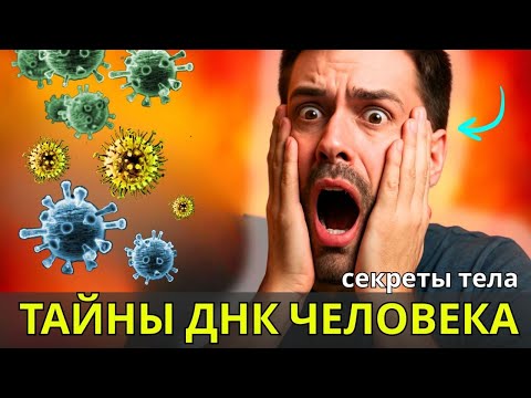 Видео: 😲Как МУТАЦИИ и древние ГЕНЫ изменили ДНК и ОРГАНИЗМ Homo sapiens. ЭВОЛЮЦИЯ и ПСИХОЛОГИЯ человека
