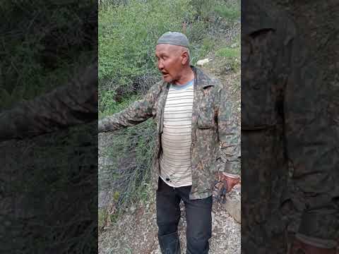 Видео: Мистикалық әңгімелер. Жылаған ата туралы аңыз. Киелі мекен шырақшысы. Қаратау бөктері.