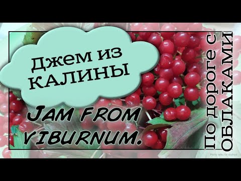 Видео: Джем из калины. Jam from viburnum.