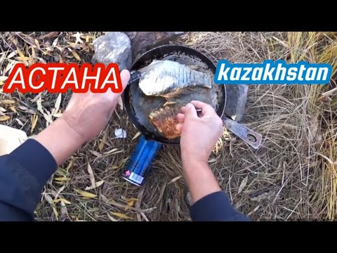 Видео: Рыбалка! Пожарил карася на набережной реки Ишим! Астана.