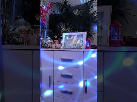 Видео: Козирог - октомври 2025 г.