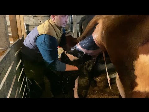 Видео: Два ОТЁЛА в один день 😱 Не Знали кому ПОМОГАТЬ!