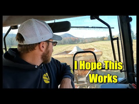 Видео: ЭТО СЕКРЕТНЫЙ ИНГРЕДИЕНТ ДЛЯ РЕКОРДНОГО УРОЖАЯ СЕНА