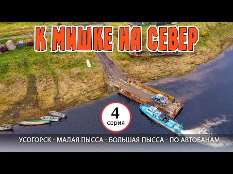 Видео: #4 Усогорск - Малая Пысса - Большая Пысса - по лесным автобанам. Автопутешествие на Русский Север