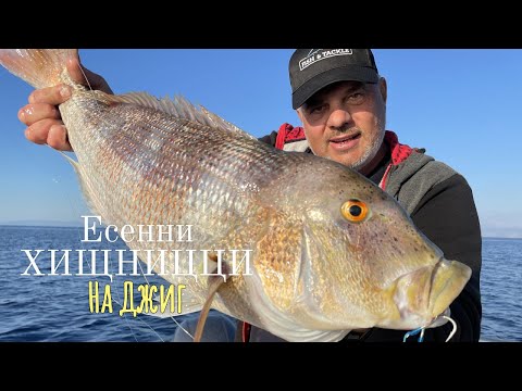 Видео: Тънкости за есенни ХИЩНИЦИ и ЯКО КАЛМАРИ.../ 1част