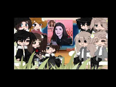 Видео: Реакция Темного Рождества на тт+рандом. Дисклеймер в описании 💋