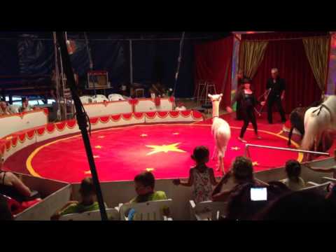 Видео: Цирк Феникс 3