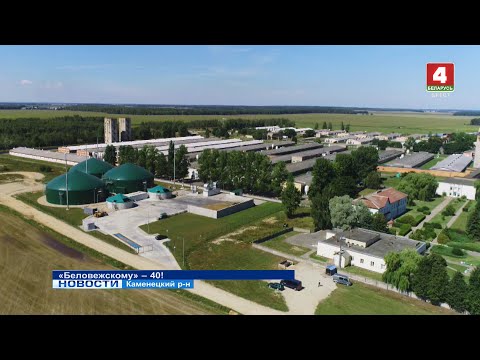 Видео: «Беловежскому» - 40!