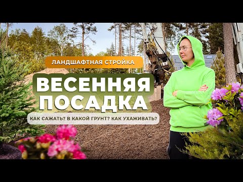 Видео: Ландшафтная стройка. Весенняя посадка. Как сажать? В какой грунт? Как ухаживать?