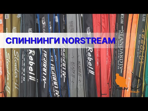 Видео: Спиннинги NORSTREAM 2023