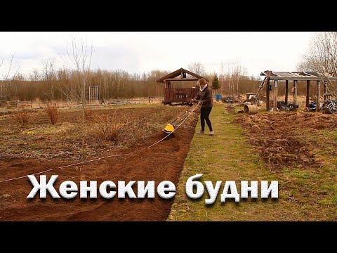 Видео: Женские будни. Хозяйство растет//работа над ошибками//корова выпрыгнула в окно
