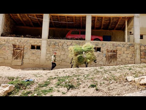 Видео: Koʻl qishlogʻi manzaralari (Qashqadaryo) | Кўл қишлоғи манзаралари (Қашқадарё)