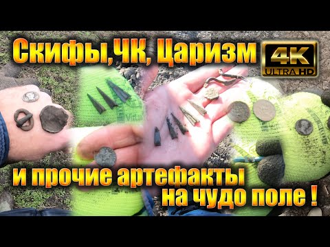 Видео: Скифы,ЧК, Царизм и прочие артефакты на чудо поле!
