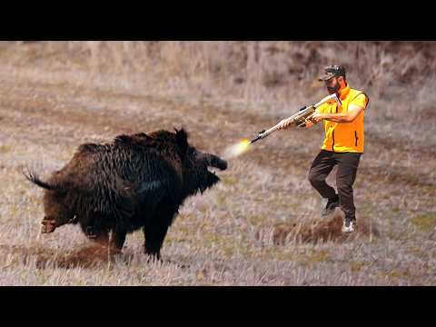Видео: ТОП-50 ОХОТЫ НА ГИГАНТСКОГО МОНСТРА НА КАБАНА, Самые незабываемые сцены охоты