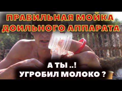 Видео: Как правильно мыть доильный аппарат и не испортить молоко.