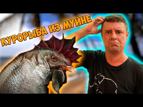 Видео: Фудкорт на пляже! Обзор Pit Stop!