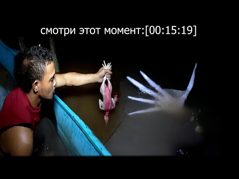 Видео: 50 Страшных Необъяснимых Моментов — Подборка #1