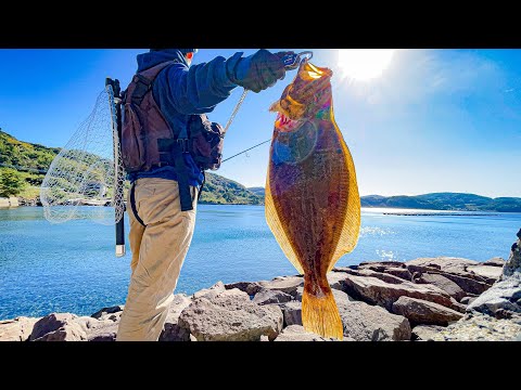 Видео: Эта приманка потрясающе ловит камбалу с берега.