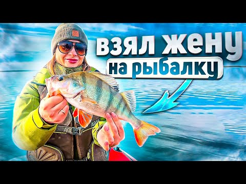 Видео: А жена взяла Селедку под шубой! Рыбалка на щуку.