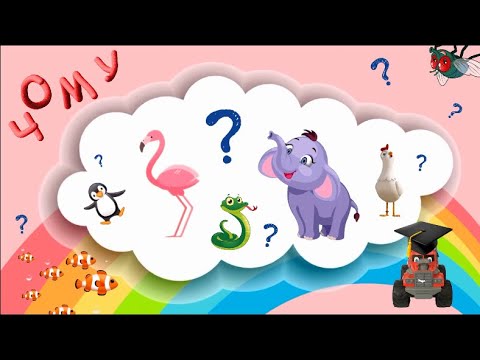 Видео: ЧОМУСИКИ ПРО ТВАРИН. Тімака - розвиваючі мультики для дітей