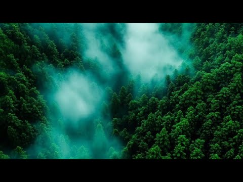 Видео: 7 минут из жизни хьонкиста 🏔️