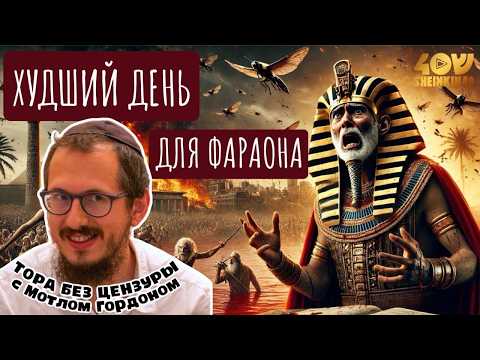 Видео: Худший день для фараона. Кто виноват? Тора без цензуры с Мотлом Гордоном/ ВАЭРА, Шмот