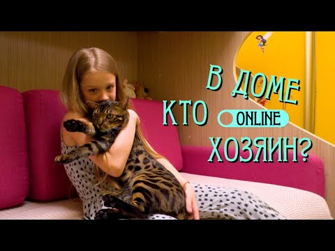 Видео: ПОЧЕМУ МОЙ КОТ МЕНЯ НЕ ЛЮБИТ?