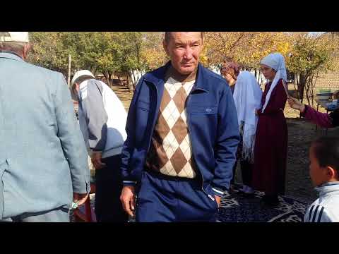 Видео: беташар 2017