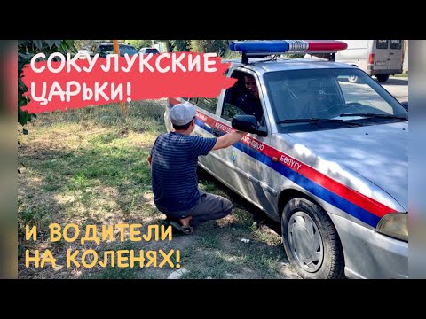 Видео: Сокулукские царьки в погонах!