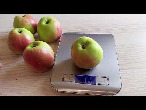 Видео: Мои обычные будние дни.