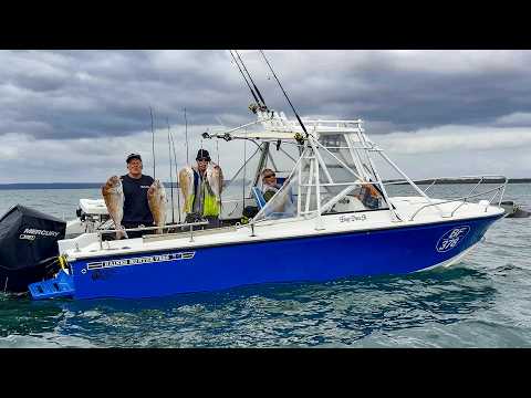 Видео: Snapper Victoria | Reedy's Rigs Opus | Вызов Two Bays Snapper.