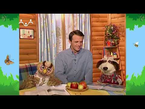 Видео: Утро в Шишкином Лесу. Быт. Забота