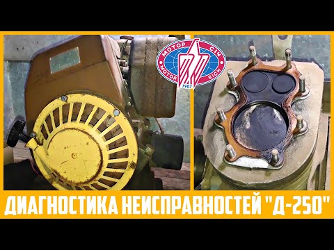 Видео: Разборка ДВС "Мотор Сич Д-250". Диагностика неисправностей.