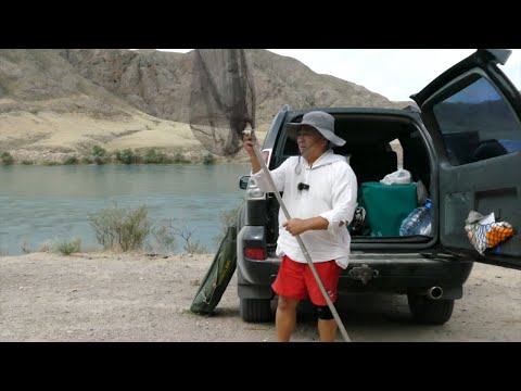 Видео: Рыбалка на реке ИЛИ МИНИМУМ ВРЕМЕНИ МАКСИМУМ УЛОВА 30.06.2023 как всегда САЗАН, ВОБЛА и КАРАСЬ